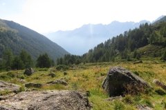 IMG_0066
