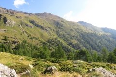 IMG_0068