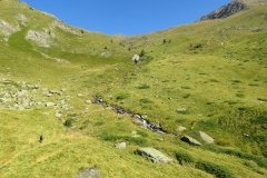 IMG_0070