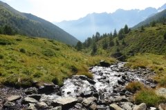 IMG_0075