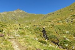 IMG_0078