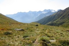 IMG_0085