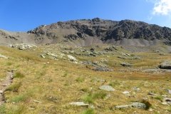 IMG_0111