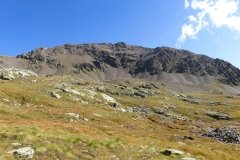 IMG_0123