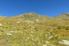 IMG_0125