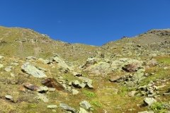 IMG_0149