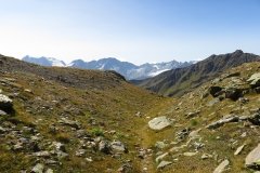 IMG_0151