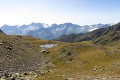 IMG_0156