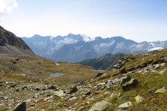 IMG_0167