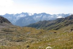 IMG_0181