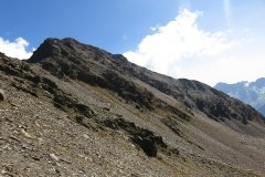 IMG_0198