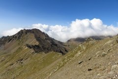 IMG_0203