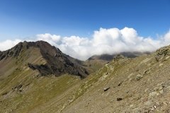 IMG_0205