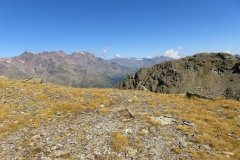 IMG_0206