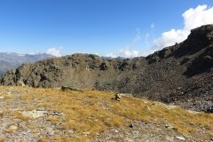 IMG_0207