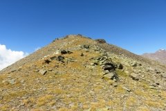 IMG_0212
