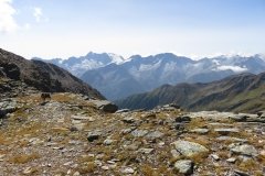 IMG_0215