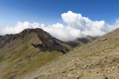 IMG_0221