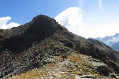 IMG_0226