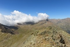 IMG_0241