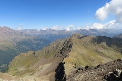 IMG_0310