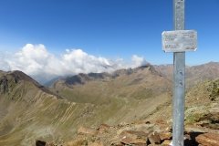 IMG_0331