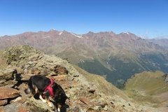 IMG_0384