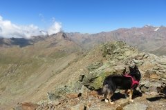 IMG_0399
