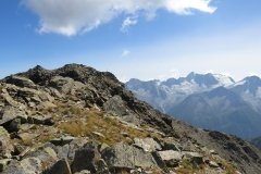 IMG_0529
