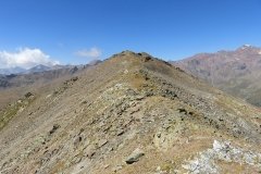 IMG_0540
