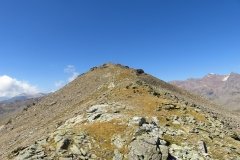 IMG_0545