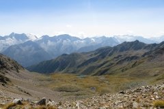 IMG_0546