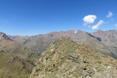IMG_0552