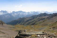 IMG_0564
