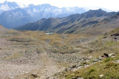 IMG_0587
