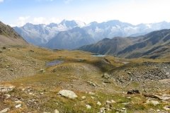IMG_0594