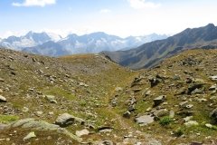 IMG_0595