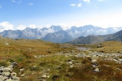 IMG_0600