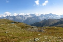 IMG_0603