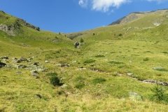 IMG_0616