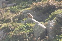 IMG_0626