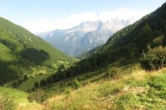 IMG_0637