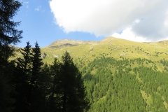 IMG_0643