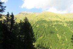 IMG_0658