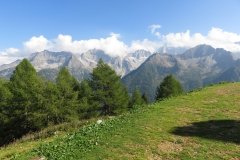 IMG_0666