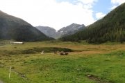 IMG_0003