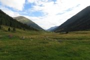 IMG_0005