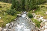 IMG_0009