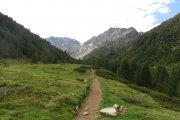 IMG_0015