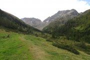 IMG_0017